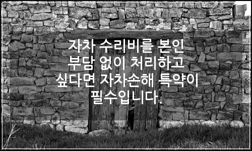 오늘의 이미지