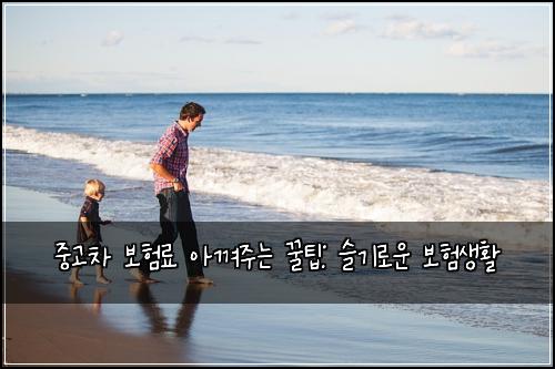 중고차 보험료 아껴주는 꿀팁: 슬기로운 보험생활
