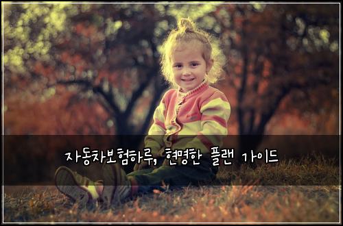  자동차보험하루, 현명한 플랜 가이드