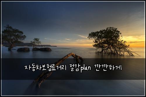 ์๋์ฐจ๋ณดํ๋ฃ๊ฑฐ๋ฆฌ ์ ๊ฐplan ๊น๊นํ๊ฒ