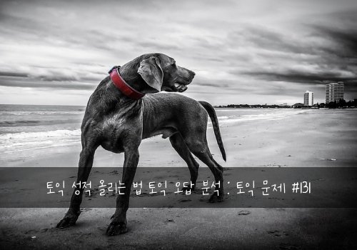 토익 성적 올리는 법 토익 오답 분석 : 토익 문제 #131