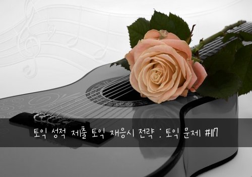 토익 성적 제출 토익 재응시 전략 : 토익 문제 #117