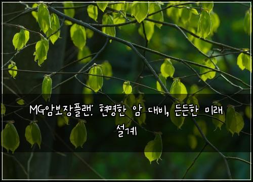 MG암보장플랜: 현명한 암 대비, 든든한 미래 설계