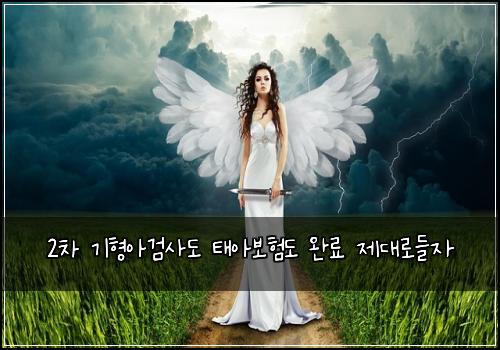 2차 기형아검사도 태아보험도 완료 제대로들자
