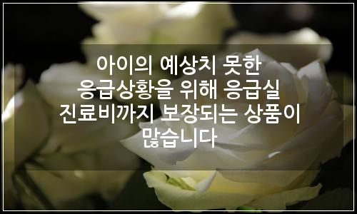 오늘의 이미지