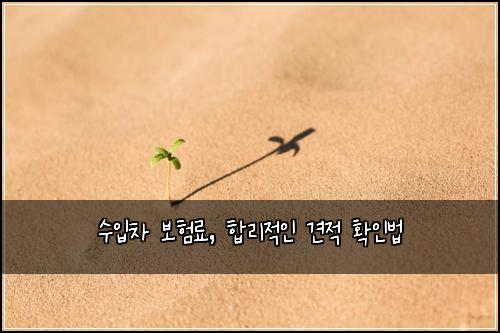 수입차 보험료, 합리적인 견적 확인법