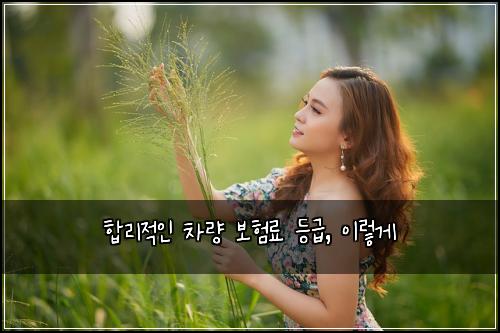  합리적인 차량 보험료 등급, 이렇게