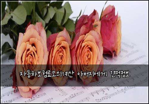 자동차보험료모의계산 아버지에게 견적정보