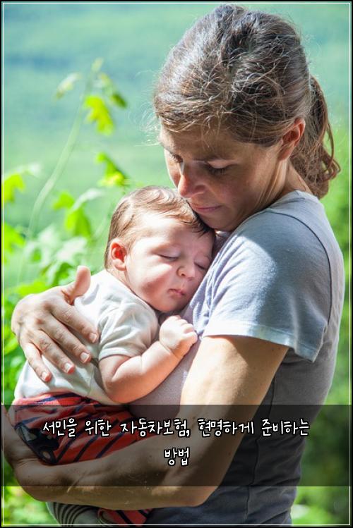 서민을 위한 자동차보험, 현명하게 준비하는 방법