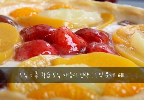 토익 기출 학습 토익 재응시 전략 : 토익 문제 #111