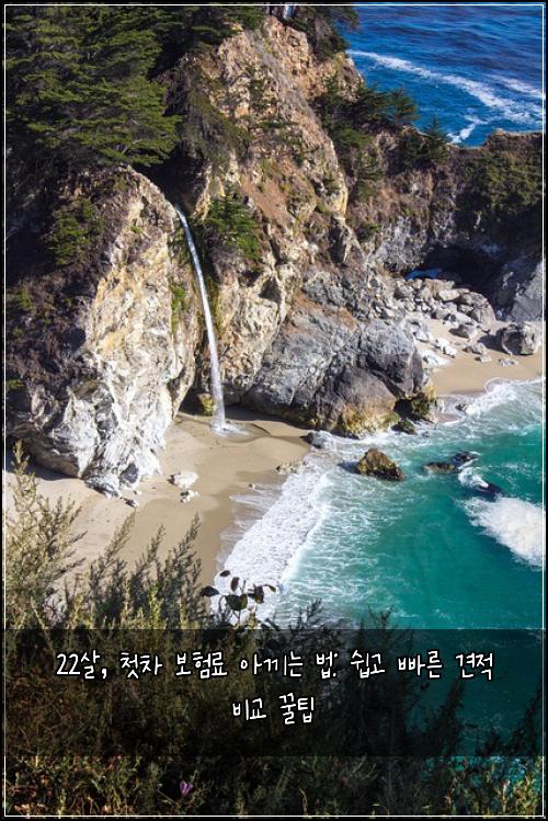  22살, 첫차 보험료 아끼는 법: 쉽고 빠른 견적 비교 꿀팁