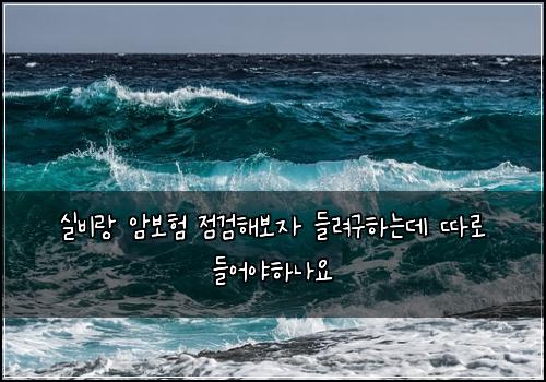 실비랑 암보험 점검해보자  들려구하는데 따로 들어야하나요