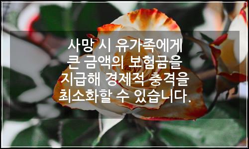 오늘의 이미지