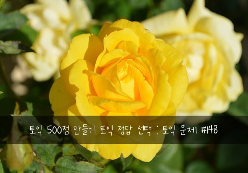 토익 500점 만들기 토익 정답 선택 : 토익 문제 #148