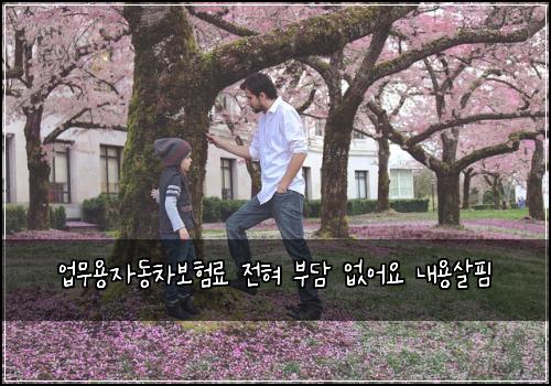 ์
๋ฌด์ฉ์๋์ฐจ๋ณดํ๋ฃ ์ ํ ๋ถ๋ด ์์ด์ ๋ด์ฉ์ดํ