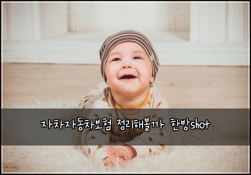 ์์ฐจ์๋์ฐจ๋ณดํ ์ ๋ฆฌํด๋ณผ๊น ํ๋ฐฉshot