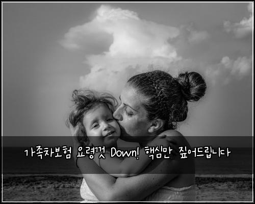 가족차보험 요령껏 Down! 핵심만 짚어드립니다