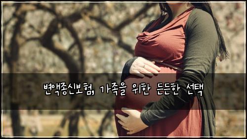 변액종신보험, 가족을 위한 든든한 선택
