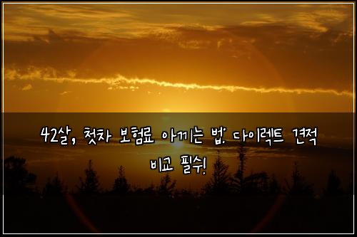 42살, 첫차 보험료 아끼는 법: 다이렉트 견적 비교 필수!