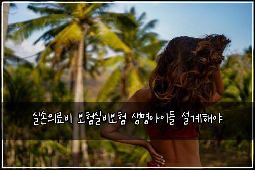 ์ค์์๋ฃ๋น ๋ณดํ์ค๋น๋ณดํ ์๋ช
์์ด๋ค ์ค๊ณํด์ผ