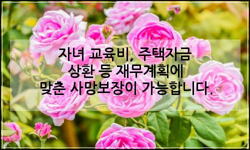 오늘의 이미지