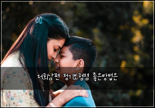 저희남편 정기보험졈 좋은방법은