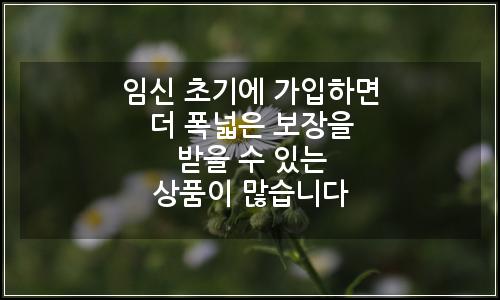 오늘의 이미지