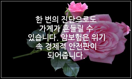 오늘의 이미지