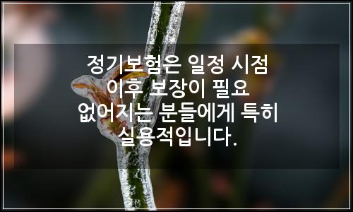 오늘의 이미지
