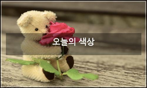 오늘의 이미지
