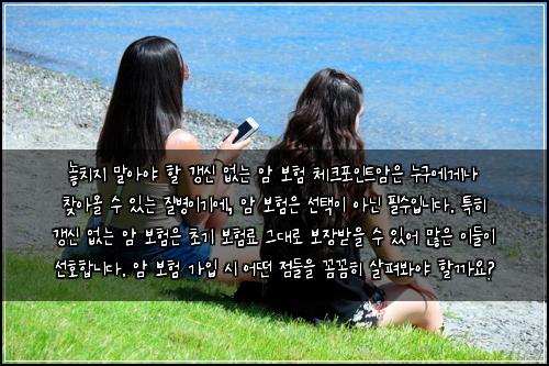  놓치지 말아야 할 갱신 없는 암 보험 체크포인트

암은 누구에게나 찾아올 수 있는 질병이기에, 암 보험은 선택이 아닌 필수입니다. 특히 갱신 없는 암 보험은 초기 보험료 그대로 보장받을 수 있어 많은 이들이 선호합니다. 암 보험 가입 시 어떤 점들을 꼼꼼히 살펴봐야 할까요?