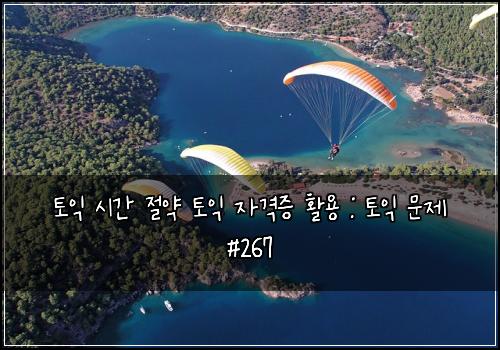 토익 시간 절약 토익 자격증 활용 : 토익 문제 #267