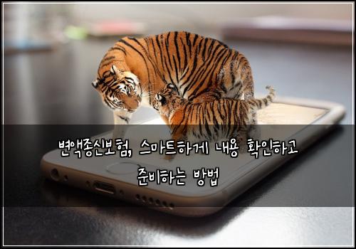 변액종신보험, 스마트하게 내용 확인하고 준비하는 방법