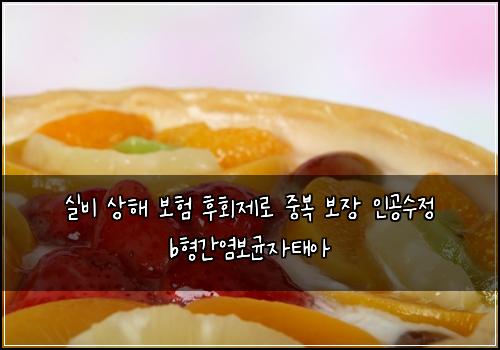 실비 상해 보험 후회제로  중복 보장 인공수정 b형간염보균자태아