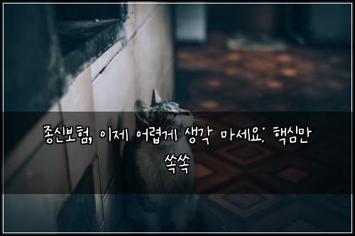 종신보험, 이제 어렵게 생각 마세요: 핵심만 쏙쏙