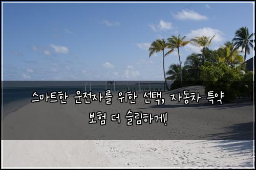 스마트한 운전자를 위한 선택, 자동차 특약 보험 더 슬림하게!