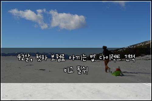 42살, 첫차 보험료 아끼는 법: 다이렉트 견적 비교 필수!