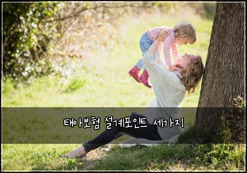 태아보험 설계포인트  세가지