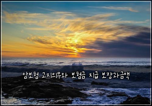 암보험 고지의무와 보험금 지급 보장과금액