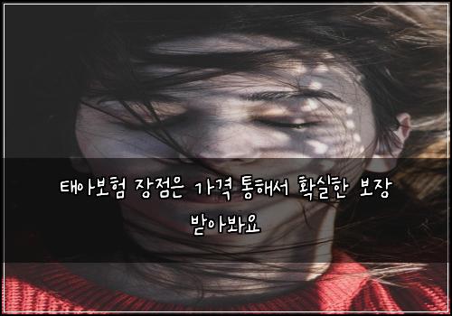 νμ보ν μ₯μ μ κ°κ²© ν΅ν΄μ νμ€ν 보μ₯ λ°μλ΄μ