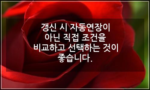 오늘의 이미지