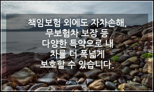 오늘의 이미지