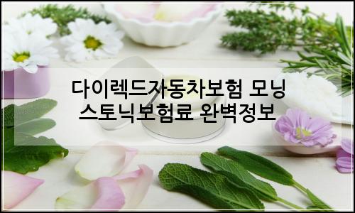 오늘의 이미지