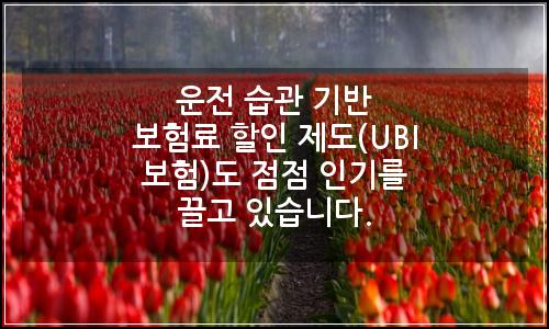 오늘의 이미지