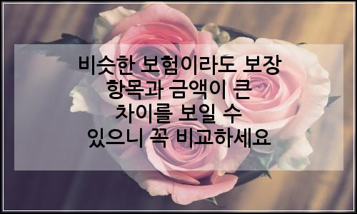 오늘의 이미지