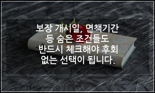 오늘의 이미지