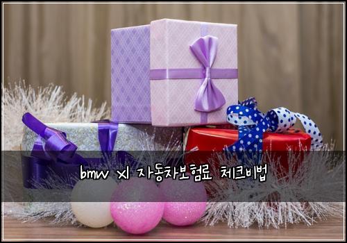 bmw x1 자동차보험료 체크비법