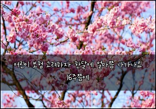 ์ด๋ฆฐ์ด ๋ณดํ ๊ณ ๋ คํ์ ํ๋ฌ์ ์ผ๋ง์ฏค ๋๊ฐ๋์ 16์ฃผ์ฏค์