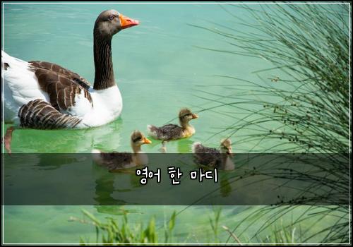 ์์ด ํ ๋ง๋