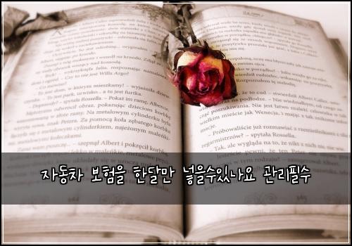 자동차 보험을 한달만 넣을수있나요 관리필수